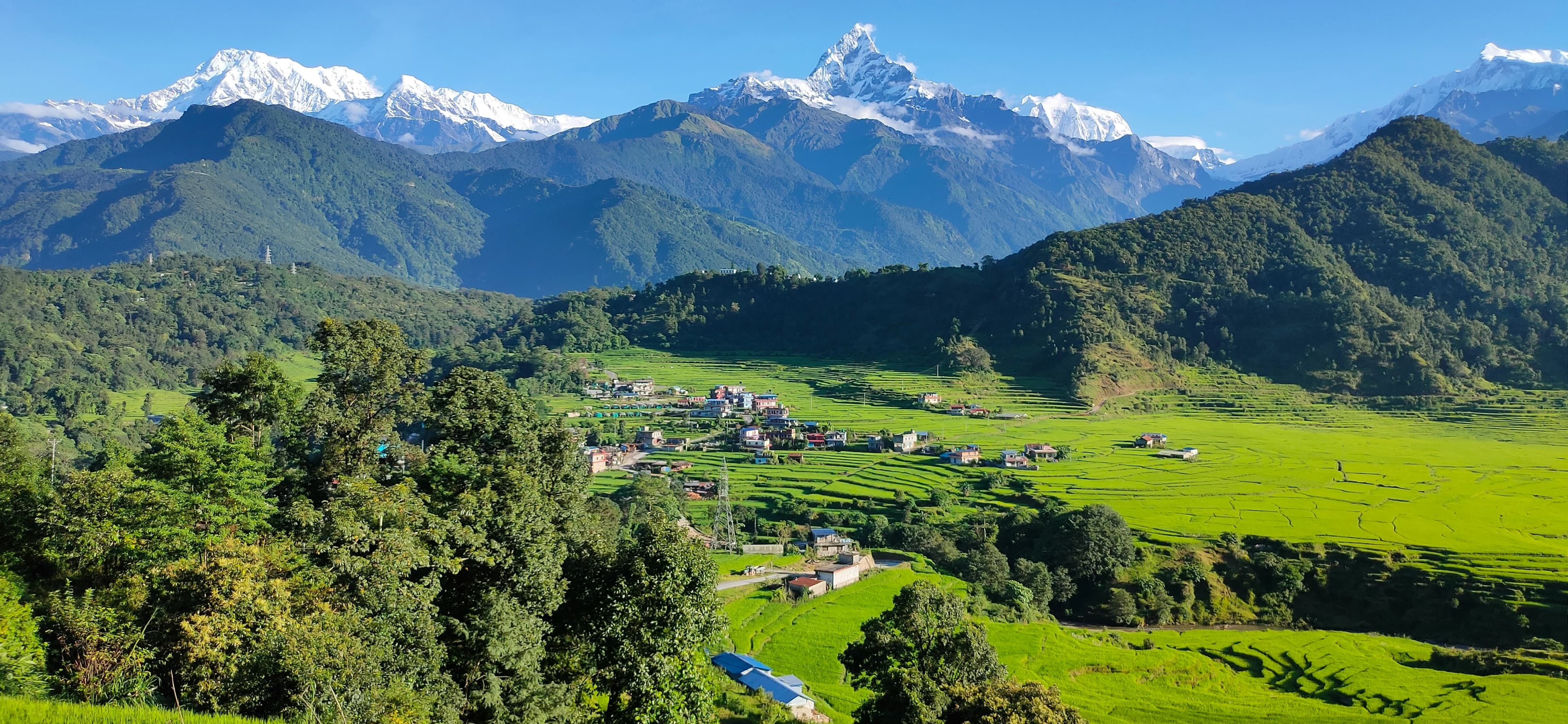 The Himalayan Classic