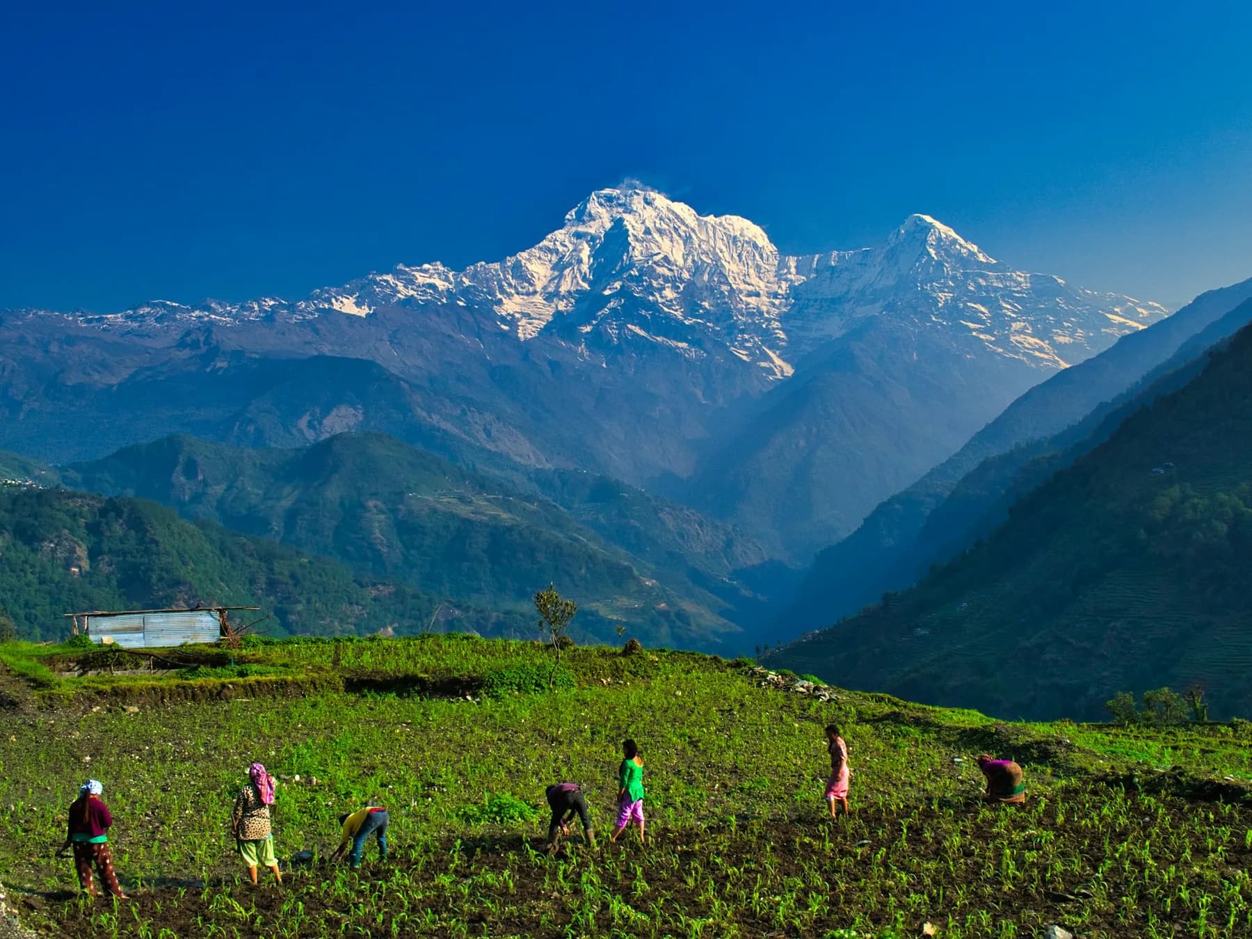 Annapurna Circuit